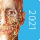 2021人体解剖学图谱 v2021.1.64