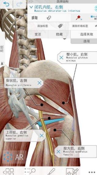 人体解剖学图谱app苹果免费版
