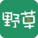 野草社区app v7.9.0