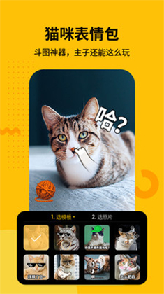 爪叽相机猫咪拍照APP安卓版
