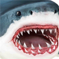 鲨鱼模拟器 v6.6.0