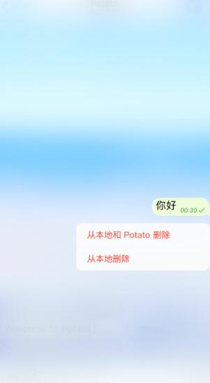potato chat中文版手机版