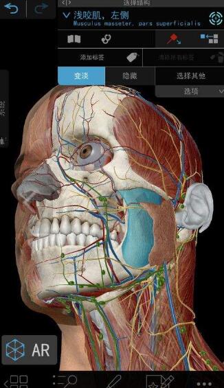 2021人体解剖学图谱app破解版