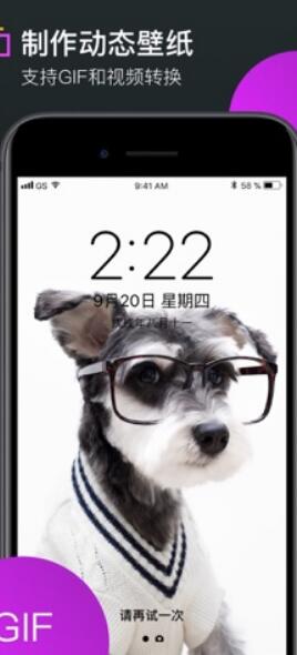 安卓彩蛋视频壁纸app下载安装最新无广告版