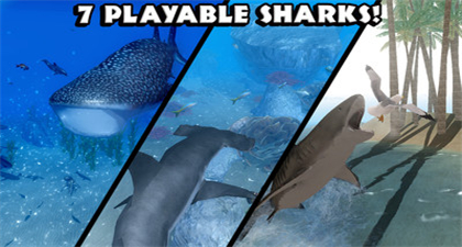 鲨鱼模拟器手机版游戏下载安装