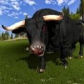 愤怒的公牛攻击捕食者3D