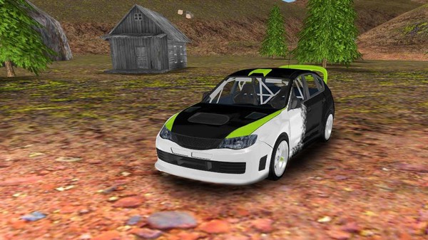 拉力赛车模拟器3D