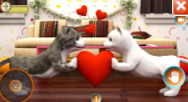 我可爱的宠物猫模拟器游戏